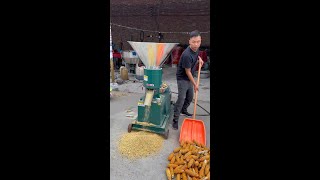 From Livestock Feed to Sawdust The Versatile Feed Pellet Machine Solution [upl. by Combe]