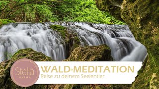 Geführte Meditation Wald  Eine Reise zu deinem Seelentier oder Krafttier [upl. by Asirac230]