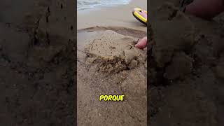 Por Esto Nunca Debes Caminar Descalzo en la Playa 😨 [upl. by Hanikas]