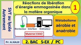 Réactions de libération dénergie emmagasinée dans la matière organique [upl. by Asoramla49]