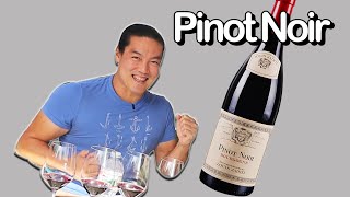 Run to a wine store to buy this right now 10 Pinot Noirs [upl. by Oby652]