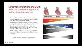 Dilated Cardiomyopathy from genetics to novel treatment approaches [upl. by Dru]