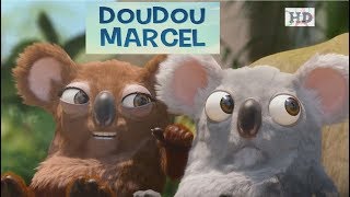 LES AS DE LA JUNGLE  DOUDOU MARCEL HD [upl. by Ellimak801]