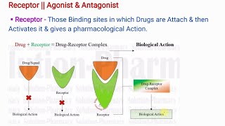 Receptor  Agonist amp Antagonist  Types of Antagonist Pharmacology [upl. by Lyle]