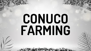 Conuco Farming with Adriana Hernandez Dylan Calvo and Anyeline Gonzalez [upl. by Betthezul570]