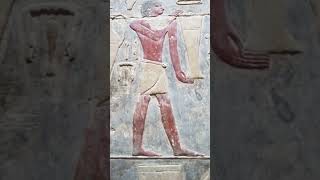 Colossal Sarcophagi and Divine Burials Mystery in Saqqara Egypt egyptology sarcophagus archaeo [upl. by Eira]