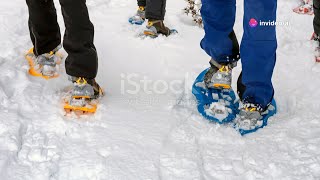 AI Generated  The Evolution of the Snow Shoeing Industry Into AI [upl. by Brieta]