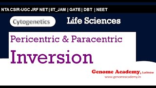 Pericentric amp paracentric Inversion  cytogenetics  CSIR  NTA  JRF  NET  Life Sciences [upl. by Earahs]