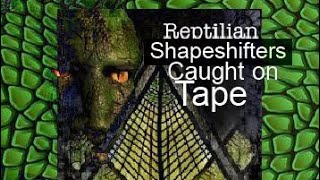 Reptilians caught on tape [upl. by Joachima]