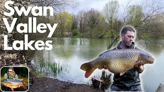 SPRING CARP FISHING 24hrs on Swan Valley Lakes Yateley [upl. by Davon343]