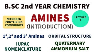 Amines  Introduction  Nitrogen Compounds  IUPAC  1°2° and 3° Amines  BSC 2nd Year Chemistry [upl. by Yoho]