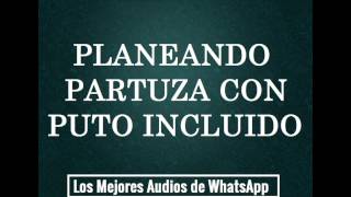 PLANEANDO PARTUZA CON PUTO INCLUIDO  Los Mejores Audios de WhatsApp [upl. by Prunella244]