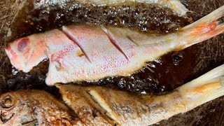 HOW TO FRIED RED SNAPPER FISH PERFECTLY OUTDOOR COOKING fish food seafood singledad life [upl. by Jess]