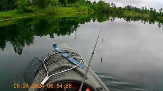 Topwater Beauty of a Pike [upl. by Buchanan]