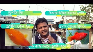 ড্রপসি রোগের চিকিৎসা  What is Dropsy How to cure Dropsy Disease Why Dropsy happens In Bangla [upl. by Pitts]