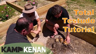 Testudo Tortoise Tutorial [upl. by Dallon]