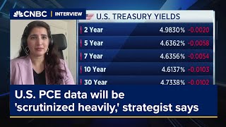 US PCE data will be scrutinized heavily strategist says [upl. by Oecam]