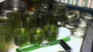 Canning Chocolate Mint Jelly [upl. by Rutherfurd]