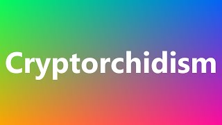 Cryptorchidism  Medical Meaning and Pronunciation [upl. by Nnylirej]