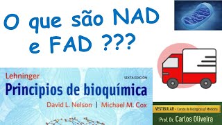 o que são NAD e FAD  o que fazem nas células [upl. by Dnaltruoc554]