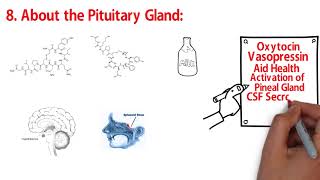 PITUITARY amp OXYTOCIN  The AMAZING Sacred Secretion  Christ Oil  Chrism part 10 [upl. by Seldan]