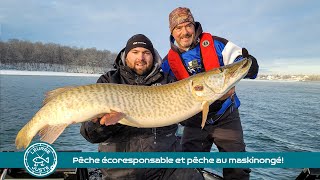 Leurre Juste  s07e12  Émission spéciale sur la pêche écoresponsable et pêche au maskinongé [upl. by Trixi612]