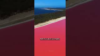 Australias pink Lake Hillier short [upl. by Magen]