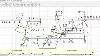 GenoPro 2019 Genogram  GenoMap1 8 7 2019 12 16 27 AM [upl. by Lunette]