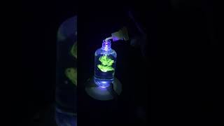 UV light water and riboflavin [upl. by Ck175]