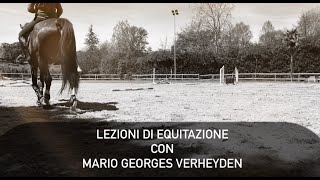 Equitazione online migliorare lavvicinamento al salto [upl. by Sivet673]