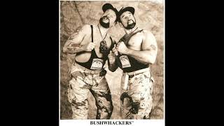 WWE Bushwhackers 2nd Theme [upl. by Shirlee]