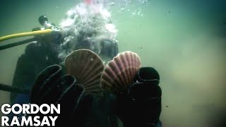 HandDiving for Scallops  Gordon Ramsay [upl. by Klemm]