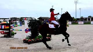 Horse show jumping falls compilation [upl. by Slorac]