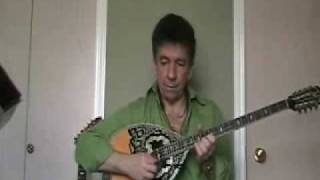 Zorba the Greek bouzouki [upl. by Ieluuk]