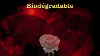 Biodegradable by Ginette Reno [upl. by Salomone]