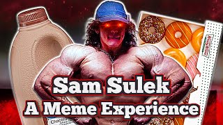 Sam Sulek  A Meme Experience [upl. by Rennane428]