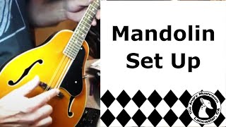 Mandolin Setup  Astyle mandolin [upl. by Buffo638]