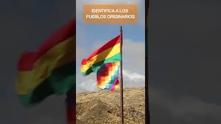 Sabes que Significa la Bandera Whipala culturas documental latinoamerica [upl. by Okram951]