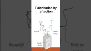 Polarization and Brewster’s angle shorts science physics [upl. by Perrins]