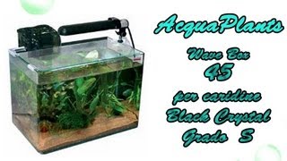 Acquario Wave box 45 per Black Crystal Grado S  45 Planted Tank  45 gallon Aquarium [upl. by Kcorb962]