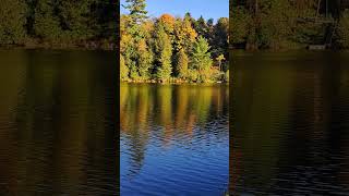 Muskoka River Fall Colors muskoka muskokalife fallcolors [upl. by Carlson]