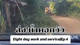 Eighth day work and serviceEp4 ส่งน้ำคอกวัว🐮🐮2เที่ยว 081167สะแน่ว kitmazaeng191 [upl. by Coltun]