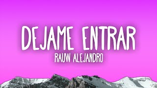 Rauw Alejandro  Dejame Entrar [upl. by Beaufort]