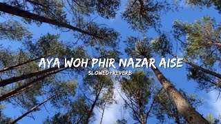 Aya Woh Phir Nazar AiseSlowedReverbsong [upl. by Troth]