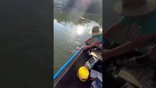 Claytor Lake Catfishing catfish claytorlake jugfishing fishing [upl. by Mik]