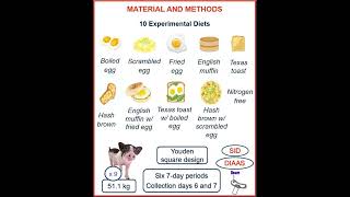 Digestible indispensable amino acid scores DIAAS for egg and plant proteins [upl. by Tecu757]