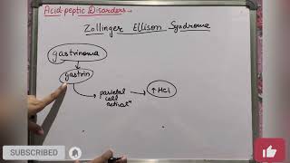 Zollinger Ellison syndrome  Acid Peptic Disorders  Kayachikitsa  Geetaru Shanjalii  Ayurveda [upl. by Yci]