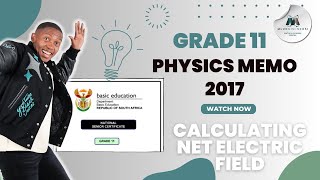 Grade 1112 Electrostatics  Calculating Net Electric Field  November 2017  Mlungisi Nkosi [upl. by Annek]