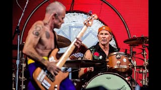 Red Hot Chili Peppers  Under the Bridge  Live at Tinderbox Denmark  24062023 [upl. by Bob]