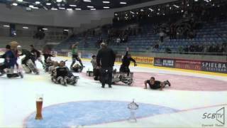 Bietigheim Steelers  Harlem Shake [upl. by Ifok]